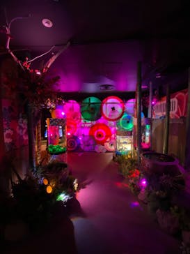 NARA KINGYO MUSEUMに投稿された画像（2025/1/26）