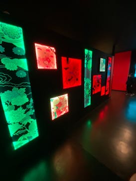 NARA KINGYO MUSEUMに投稿された画像（2025/1/26）