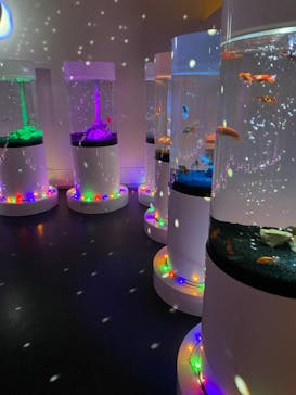 NARA KINGYO MUSEUMに投稿された画像（2025/1/26）