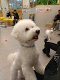 いぬカフェRio ゆめタウン佐賀店に投稿された画像（2025/1/26）