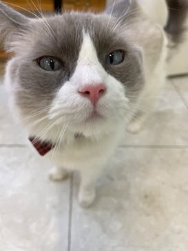 Moff animal world BIGHOPガーデンモール印西店に投稿された画像（2025/1/26）