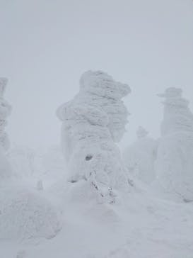 蔵王ロープウェイに投稿された画像（2025/1/26）