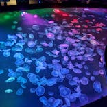 すみだ水族館に投稿された画像（2025/1/26）