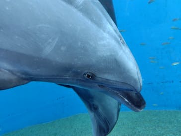 横浜・八景島シーパラダイスに投稿された画像（2025/1/26）