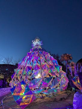 江の島シーキャンドルに投稿された画像（2025/1/26）