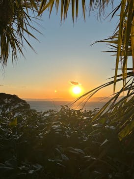 江の島シーキャンドルに投稿された画像（2025/1/26）