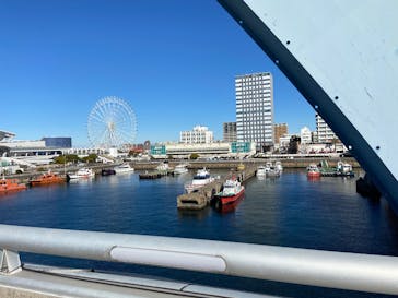 名古屋港水族館に投稿された画像（2025/1/26）