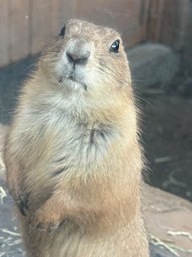 横浜・八景島シーパラダイスに投稿された画像（2025/1/26）