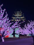 大阪城イルミナージュに投稿された画像（2024/12/7）