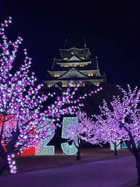 大阪城イルミナージュに投稿された画像（2024/12/7）