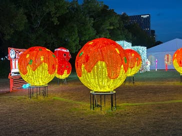 大阪城イルミナージュに投稿された画像（2024/12/7）