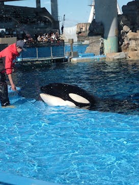 名古屋港水族館に投稿された画像（2025/1/26）