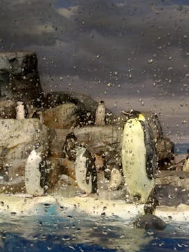 名古屋港水族館に投稿された画像（2025/1/26）