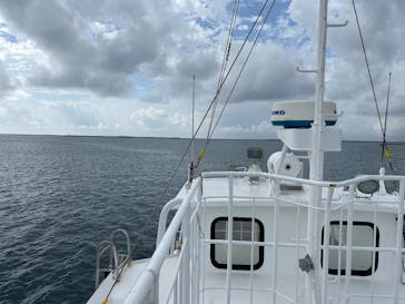 株式会社マリン観光開発に投稿された画像（2025/1/26）