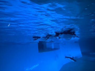 AOAO SAPPOROに投稿された画像（2025/1/26）