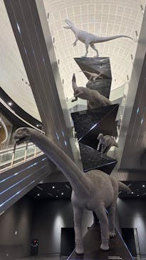 福井県立恐竜博物館に投稿された画像（2025/1/26）