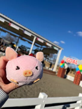 マザー牧場に投稿された画像（2025/1/26）