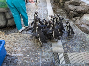 仙台うみの杜水族館に投稿された画像（2025/1/26）