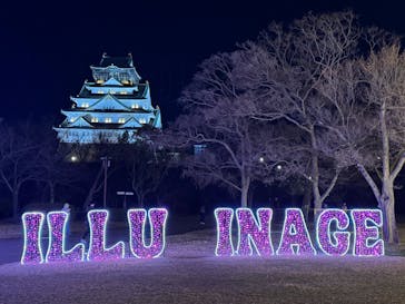 大阪城イルミナージュに投稿された画像（2025/1/26）