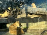 東武動物公園に投稿された画像（2025/1/26）