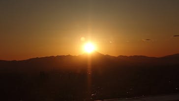 サンシャイン60展望台に投稿された画像（2025/1/26）