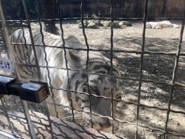 群馬サファリパークに投稿された画像（2025/1/26）