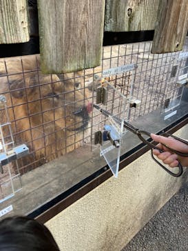 群馬サファリパークに投稿された画像（2025/1/26）