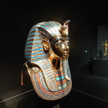 MYSTERY OF TUTANKHAMEN 体感型古代エジプト展に投稿された画像（2025/1/26）