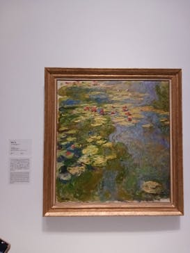 モネ 睡蓮のとき（国立西洋美術館）に投稿された画像（2025/1/26）