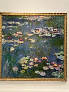 モネ 睡蓮のとき（国立西洋美術館）に投稿された画像（2025/1/26）