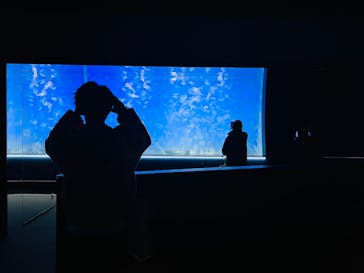 アクアワールド茨城県大洗水族館に投稿された画像（2025/1/26）