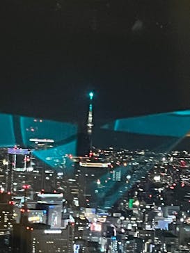 東京タワーに投稿された画像（2025/1/26）