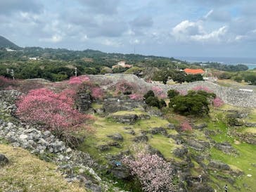 今帰仁城跡に投稿された画像（2025/1/26）
