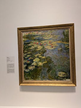 モネ 睡蓮のとき（国立西洋美術館）に投稿された画像（2025/1/26）