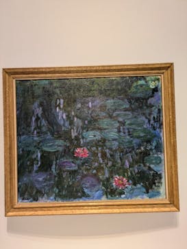 モネ 睡蓮のとき（国立西洋美術館）に投稿された画像（2025/1/26）