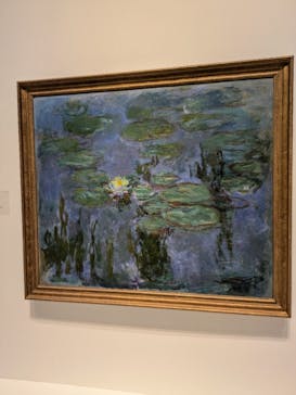 モネ 睡蓮のとき（国立西洋美術館）に投稿された画像（2025/1/26）