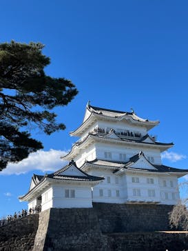 小田原城に投稿された画像（2025/1/26）