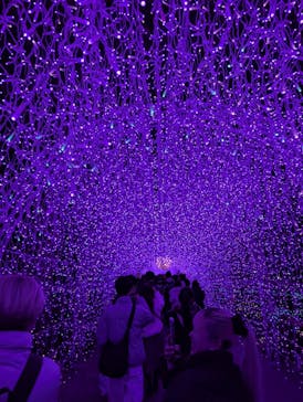 江の島シーキャンドルに投稿された画像（2025/1/27）