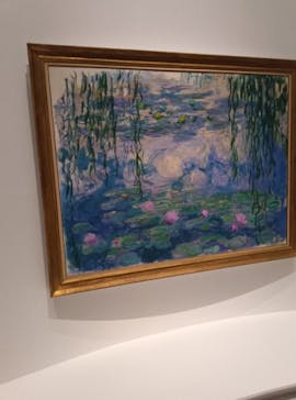 モネ 睡蓮のとき（国立西洋美術館）に投稿された画像（2025/1/27）