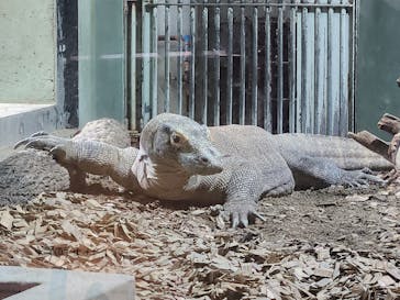 名古屋市東山動植物園に投稿された画像（2025/1/27）