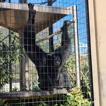 名古屋市東山動植物園に投稿された画像（2025/1/27）