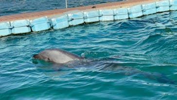 横浜・八景島シーパラダイスに投稿された画像（2025/1/27）