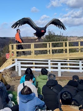 那須どうぶつ王国に投稿された画像（2025/1/27）