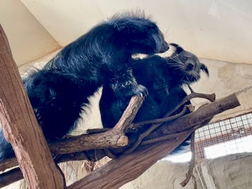 那須どうぶつ王国に投稿された画像（2025/1/27）