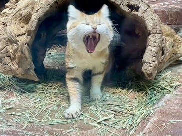 那須どうぶつ王国に投稿された画像（2025/1/27）