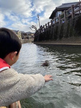 小江戸さわら 舟めぐりに投稿された画像（2025/1/27）