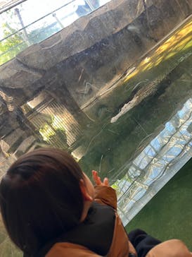 名古屋市東山動植物園に投稿された画像（2025/1/27）