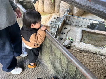 名古屋市東山動植物園に投稿された画像（2025/1/27）