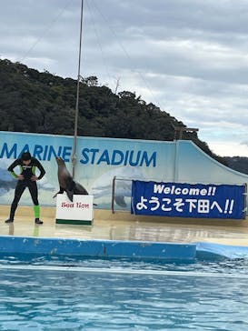 下田海中水族館に投稿された画像（2025/1/27）