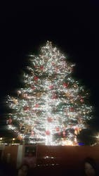 Christmas Market in 横浜赤レンガ倉庫 2024に投稿された画像（2025/1/27）